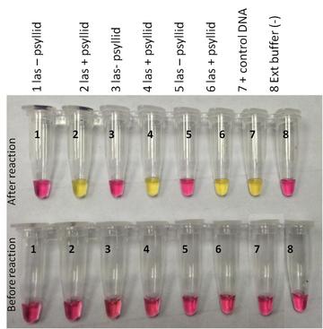 chart of before and after reactions